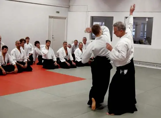 Aikido with Stefan Stenudd.